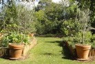 Flowerdale VICvegetable-gardens-3.jpg; ?>